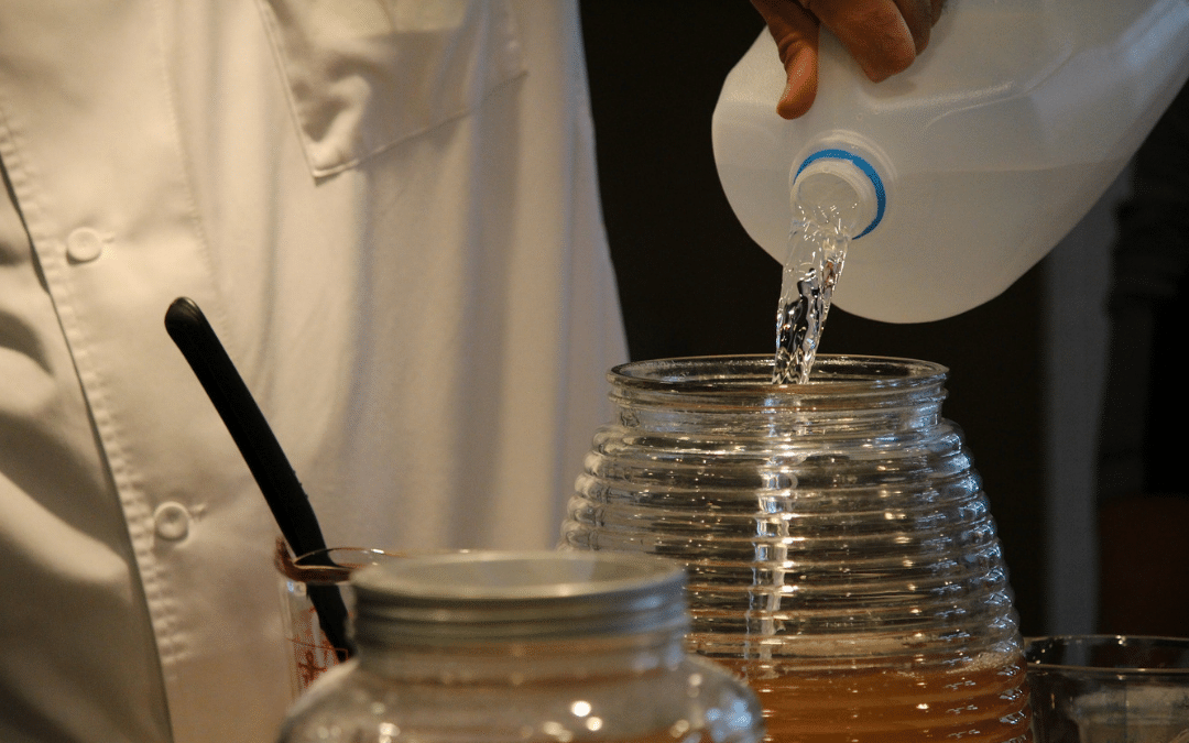 kombucha sendo preparado